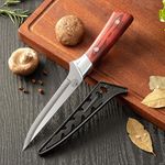 Captoola Japanese Knife, Professional Chef Knife Kitchen Knife Chef's Knife for Cutting Meat, Cooking Fish and Vegetables (Set of 1)