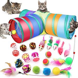 21 PCs Cat