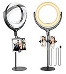 10.5'' Desk Ring Light with Stand a