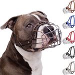 BRONZEDOG Pitbull Dog Muzzle Breath