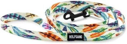 Wolfgang Premium Dog Leash for Small Dogs Heavy Duty, Durable & Easy to Clean Nylon Dog Leash with Quick Clip Buckles, for Training & Daily Use, Made in USA, FeatheredFriend Print (5/8 Inch x 4 Ft)