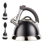 Whistling Tea Kettle with iCool - Handle, Surgical Stainless Steel Teapot for All Stovetops, 2 Free Infusers Included, 3 Quart by Pykal