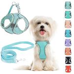 Small Dog Harness and Leash Set, No Pull Adjustable Reflective Breathable Mesh Step in Dog Harness Easy Walk Dog Harness for Extra Small/Small Medium Dog Cats Puppy (Blue, XXS)