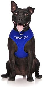 Dexil Limited THERAPY DOG Blue Color Coded Non-Pull Front and Back D Ring Padded and Waterproof Vest Dog Harness PREVENTS Accidents By Warning Others Of Your Dog In Advance (XS)