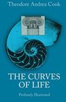 Curves of 