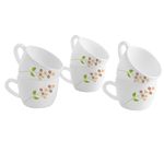 CELLO Opalware Dazzle Queen Cup Secret Garden | Cups for Tea,Coffee,Espressoc | Thermal Resistant | Light Weight | 130ml, Set of 6