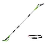 Greenworks G24PS20 Cordless long reach Pole Saw (Great for Pruning and Trimming Branches), 8 Inch (20cm) Bar Length, 6.7m/s Chain Speed, light weight, 2.6m Pole Reach WITHOUT 24V Battery & Charger