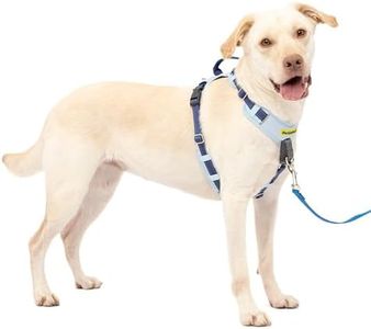 PetSafe Ea
