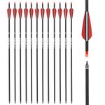 28 inch Carbon Arrow Hunting Arrows Spine 500 with 100 Grain Removable Tips for Archery Compound Bow Recurve Bow Practice Shooting (Pack of 12)