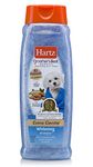 Hartz Dog Shampoo