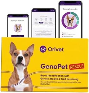 ORIVET Dog