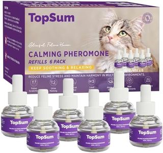 TopSum Cat