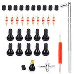 Rngeo Tire Valve Stem Puller Tools Set with 10 Pcs TR412 Snap-in Valve Stems with Valve Stem Cores, 1 Pcs Dual Single Head Valve Core Remover 1 Pcs 4-Way Valve Tool