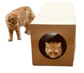 CATMAT - Cardboard Cat Tunnel Heavy Duty Cat Tunnels for Indoor Cats Kittens Dogs Puppies Rabbits, Cat Tube Tunnel, Cat Crinkle Toys Collapsible Cat Tunnel - 1m Long 30cm Diameter