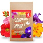 Climbing Flower Seeds - Morning Glory, Scarlet Runner, Sweet Pea, Nasturtium - 4 Flower Garden Seed Packets Variety Pack - Flowering Vines Flower Seeds for Planting Canada