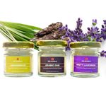 Eblooming Organic Scented Candles Aromatic Fragrance of Lemongrass, Arabic Oud & Misty Lavender for Gifting & Home, 70 GMS Each,Up to 24 (Pack of 3)