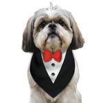 Pawsindia Tuxedo Bandana for Dogs, Crafted from Premium Fabric to Ensuring Proper Air Circulation and Adding a Touch of Trendy Style (Small, Black)