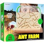 Ant Farm Kit for Kids - Ants Farms 
