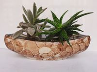 VISIONCRAFTERZ BOAT Shaped Brown Oval Ceramic Pot for Plants | PLANT NOT INCLUDED, Pack of 1, Brown|