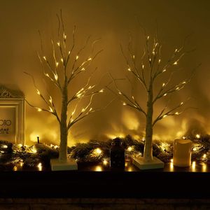 Eambrite 2ft Birch Twig Tree Lights – LED Decorative Tabletop