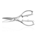 Amico Scissors