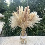 Pampas Grass Decor 110 pcs 17.5 inch Natural Dry Pampas - 15 Pcs White Pampas & 15 Pcs Brown Pampas & 50 Pcs Reed Grass & 30 Pcs Bunny Tail Grass,Fluffy Dried Flowers for Wedding Boho Decor Home Decor