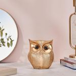 amazon basics Modern Classy Happy Owl Resin Art Figure Showpiece (Golden)