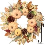 Fall Decor, Fall Wreaths for Front Door, 19 Inch Autumn Maples Leaf Pumpkin Pine Cone Berry Wreath - Fall Decorations for Thanksgiving Halloween Farmhouse Harvest Home Outdoor Indoor Window Wall