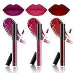 3PCS Dark Black Red Purple Liquid Lipstick Matte Set, DNM Mattte Lip Stain lip Stick with 24 Hours Waterproof Long Lasting Non Stick Cup for Makeup(1131)