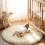 Ashler Faux Fur Rug, Fluffy Shaggy 