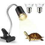 Terrarium Heat Lamps