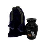 hlc URNS Keepsake Urn – White Wolf Night Full Moon Small Keepsake Qnty 1 - Keepsake Urn for Human Ashes with 1 Velvet Box Bag-Mini Keepsake Urn - Affordable Keepsake Urn (3.5" cu.in)