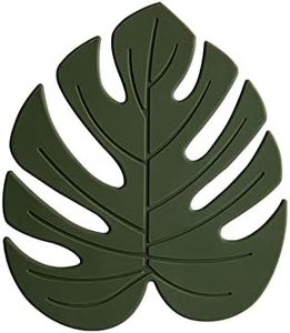 Monstera D