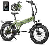 Cityfun Folding Electric Bike Adult