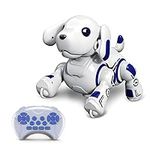 Hi-Tech Remote Control Robot Dogs T