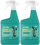 Sunday Weed Warrior, 32oz, 2 Pack - Grass & Weed Killer - Organic, Ready-to-Use Weed Killer Spray - Herbicide Spot Treatment - Kills Weeds, Grass, Algae and Moss