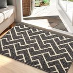 Biscpro Indoor Door Mats,60x90cm Door Mat Non Slip Backing,Dirt Trapper Mat Absorbent Non-Slip Doormat for Entrance,Inside,Kitchen,Front Back Door,Pets and Garden-Black