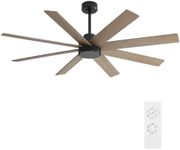 WINGBO 60" Large DC Ceiling Fans wi