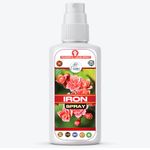 Liquid Iron For Pregnant Women