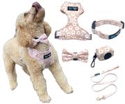 Ainsdale Dogs™ Little legends Line Pink Flower Pattern Neoprene Dog Collar, Harness and Lead Set Inlcuding poop bag and bow tie, Adjustable and Comfortable, Small