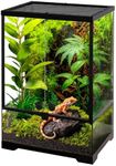 NEPTONION 10 Gallon Professional Glass Terrarium 12"x12"x18" Durable Reptile Habitat Tank with Heat Resistant Aluminum Alloy Frame, Dual Front Swinging Doors for no Jam by Sand and Other Debris