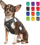 CollarDirect Step-in Reflective Dog Harness - Any Weather Air Mesh for Small and Medium Dogs Easy to Put On and Off (Size M, Grey)