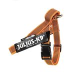 Julius-K9, IDC Color & Gray Belt Harness, Size: M / 0, Orange-Gray