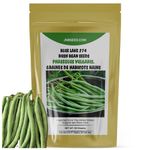 Blue Lake 274 Bush Bean Seeds (Approx. 180 Seeds- 80 Grams) Easy to Grow Vegetable Green Beans Heirloom Non GMO