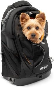 Kurgo Dog 
