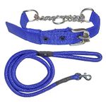 VIP Collection Stainless Steel Half Chain Collar with Comfortable Rope Leash Comfortable for Walking Running Training Size -1.5 inch (Extra Large, Blue)