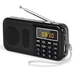 Small Portable Radios