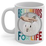 Snowshoe Hare and Owner Friendship Coffee Mug White Ceramic Tea Cup 11oz