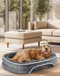 OhGeni Orthopedic Dog Bed for Extra