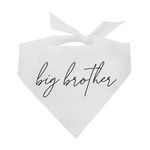 Big Brother Boho Gender Reveal/Baby Announcement Dog Bandana (White, OS 774) GB